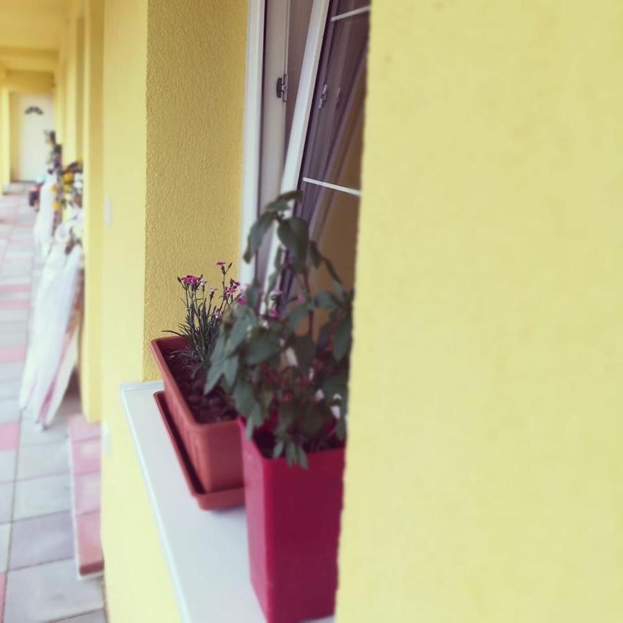 Zlatno 66 Bed and Breakfast Zlaté Moravce Εξωτερικό φωτογραφία